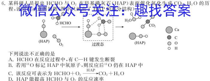 [聊城三模]山东省2024年聊城市高考模拟试题(三)3数学