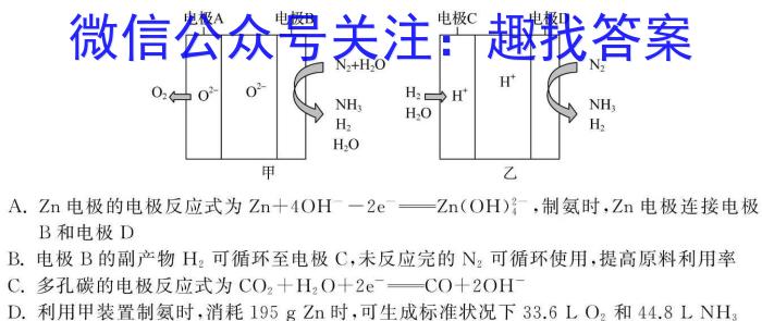 3百师联盟·2024届高三一轮复习联考(五)新高考卷化学试题