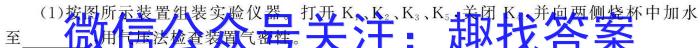 【精品】河南省驻马店市2024年初中学业质量监测试题（九年级）化学