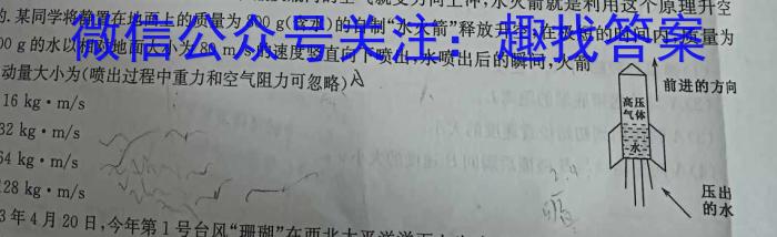 2024-2025学年海南高一阶段性教学检测(一)物理试题答案