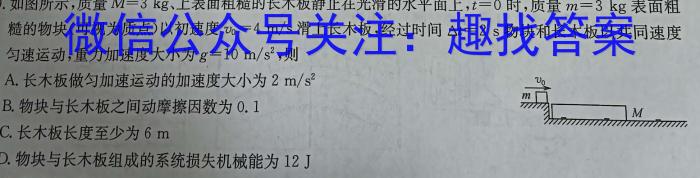 河北省衡水中学2024-2025学年度高三年级上学期第一学期综合素养测评物理试题答案