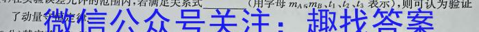 浙江省L16联盟2024年高三返校适应性测试物理`