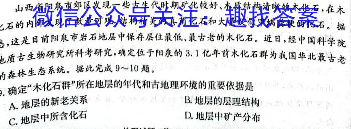 湖北省2024年春"荆、荆、襄、宜四地七校考试联盟"高二期中联考地理试卷答案