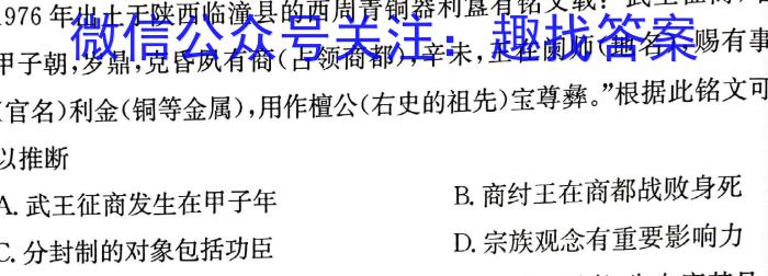 安徽省桐城市2024届九年级上学期1月期末考试历史试卷答案