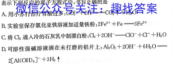 2024年中考安徽名校大联考试卷（三）数学