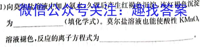 f安徽省2025届同步达标自主练习·八年级第四次（期末）化学