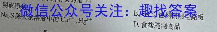 2024年陕西省初中学业水平考试毕业摸底试题化学