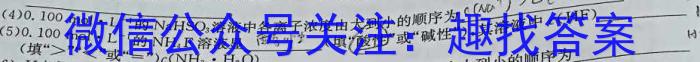 【精品】安徽省2024年1月份九年级质量检测试卷（24-CZ64c）化学