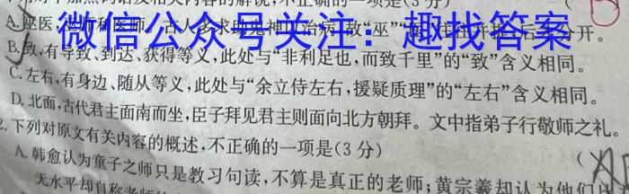 安徽省亳州市2024年4月份九年级模拟考试语文