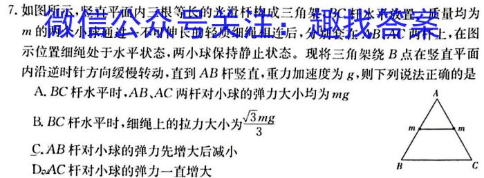 湖北省武汉市2023~2024学年度高三元月调考物理试卷答案