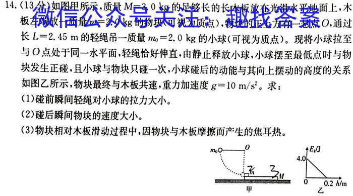 南通金卷-2024新高考全真模拟卷(五)5物理`