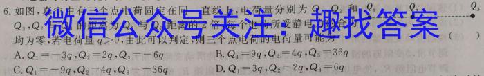 2024届名校之约·中考导向总复习模拟样卷 二轮(三)3物理试卷答案