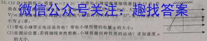 陕西省汉中市普通高中二年级新高考适应性考试(24-587B)物理试卷答案