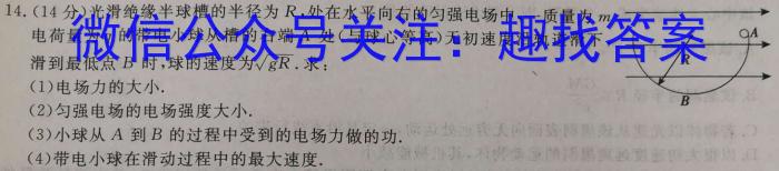 河北省秦皇岛市海港区2024年初一新生学力水平测试物理试卷答案