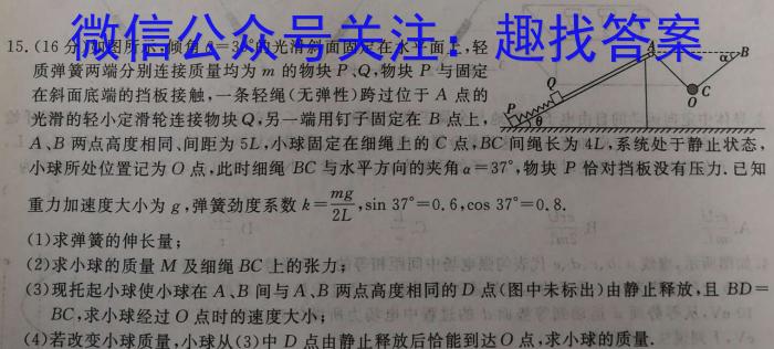 NT教育·2024-2025学年高二年级9月入学摸底考试物理试题答案