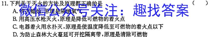 安徽省2024年九年级5月考试（无标题）数学