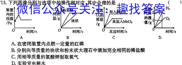 河南省驻马店市2024年春秋九年级第一次适应性测试数学