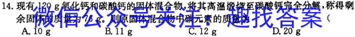 2024年山西省初中学业水平考试聚能卷B数学