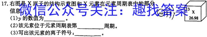 安徽省马鞍山市2025届九年级开学考试化学