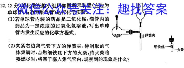 衡水金卷2024版先享卷答案信息卷 新高考卷二化学