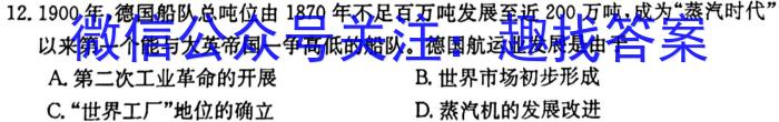 安徽省2024年九年级无标题试卷（4.7）历史试卷答案