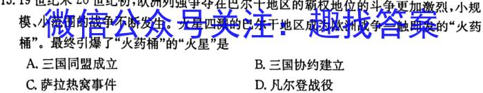 湖北省黄冈八模2024届高三模拟测试（二）历史试卷答案