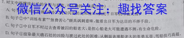 安徽省安师联盟2024年中考权威预测模拟试卷（四）语文