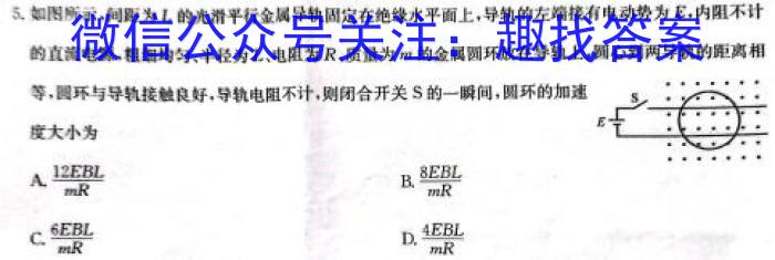 厚德诚品 湖南省2024年高考冲刺试卷(压轴二)物理试卷答案