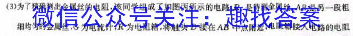 2024年河南省中招考试模拟试卷（一）物理`