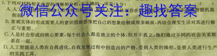 甘肃省环县一中2024-2025学年上学期高二暑期检测(5018B)语文