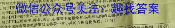 安徽省2024年1月份九年级质量检测试卷（24-CZ64c）/语文