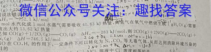 2024届安徽省九年级教学检测(24-CZ118c)数学