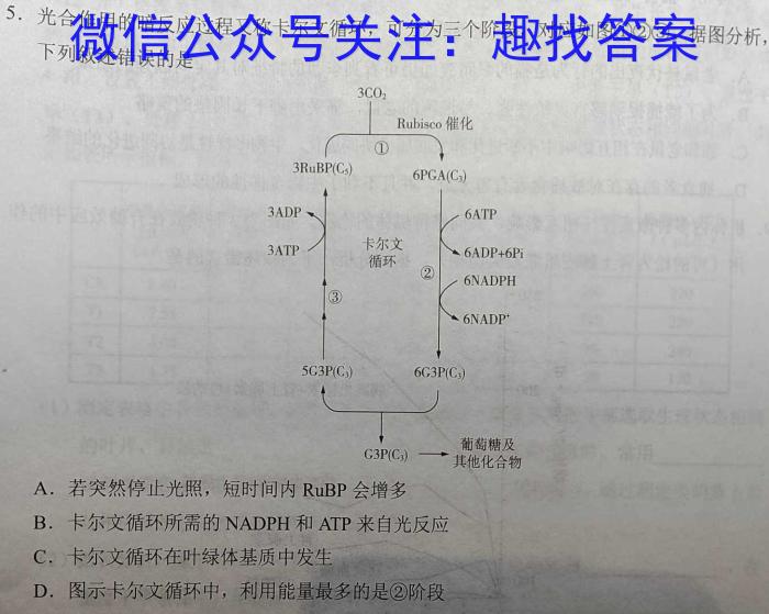 2024届长沙市一中高考适应性演练(三)数学