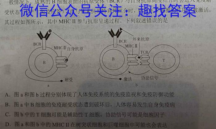 上饶市2023-2024年度下学期期末教学质量检测（高一）生物学试题答案