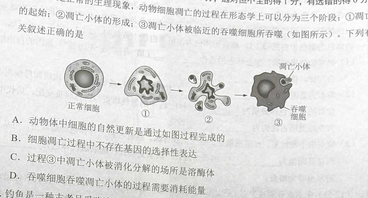 2024年江西省初中学业水平模拟考试(二)2(24-CZ150c)生物