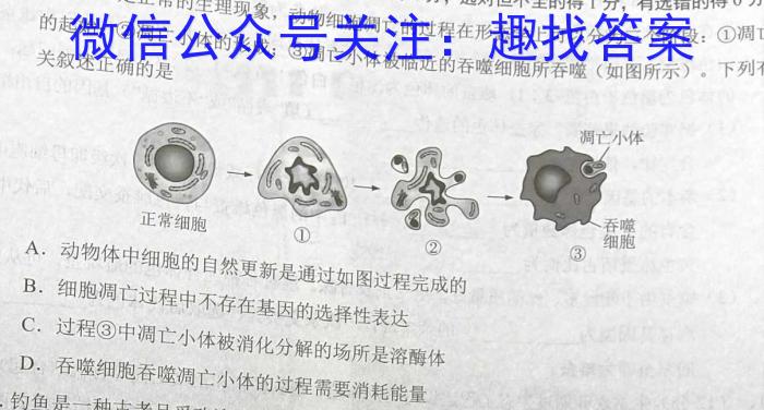 陕西省榆林市2024-2025学年度第一学期八年级开学收心检测卷生物学试题答案