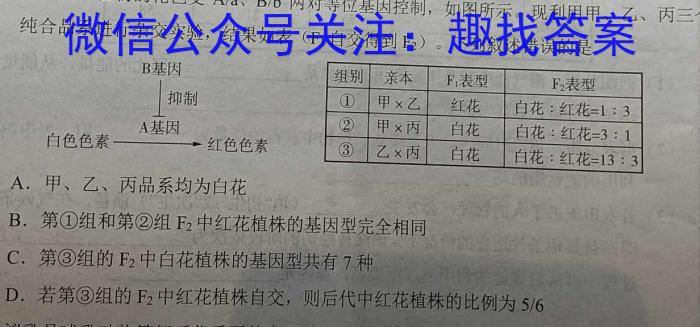 四川省大数据学考大联盟2023-2024学年度高二下期(期末模拟考试)统一监测数学