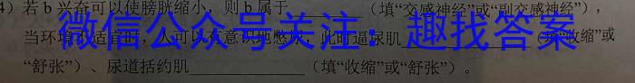 ［河北大联考］河北省2024届高三年级下学期5月联考生物学试题答案