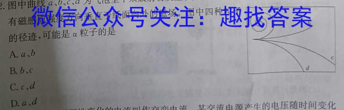 2024年山西省初中学业水平测试信息卷（四）物理`