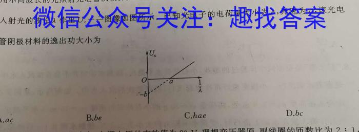 江西省2024年初中学业水平考试终极一考卷物理试题答案