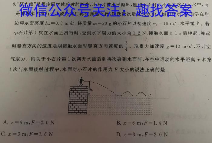 青桐鸣2024年普通高等学校招生全国统一考试 青桐鸣冲刺卷(一)物理`