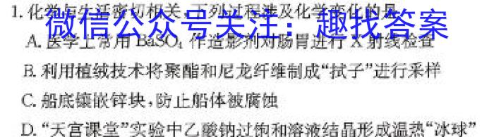 安徽省八年级岳西县2023-2024学年度第二学期期末教学质量监测化学