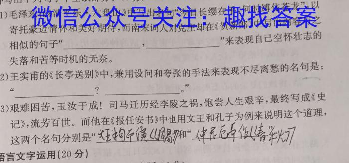 2024年普通高等学校全国统一模拟招生考试金科·新未来5月联考(HN)语文