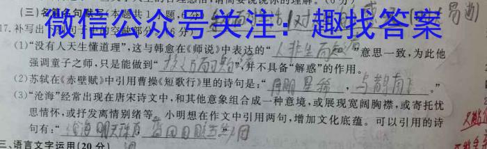 智学大联考·皖中名校联盟 2023-2024学年(下)高三“三模”联考语文