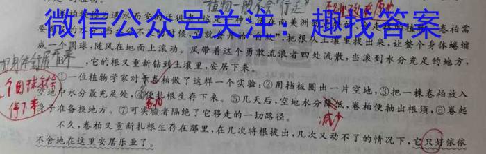 江西省2023-2024学年度七年级期末练习（四）语文