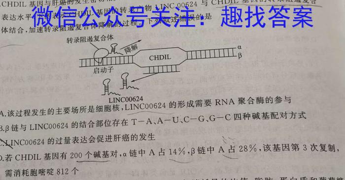 [宝鸡三模]2024年宝鸡市高考模拟检测(三)生物学试题答案