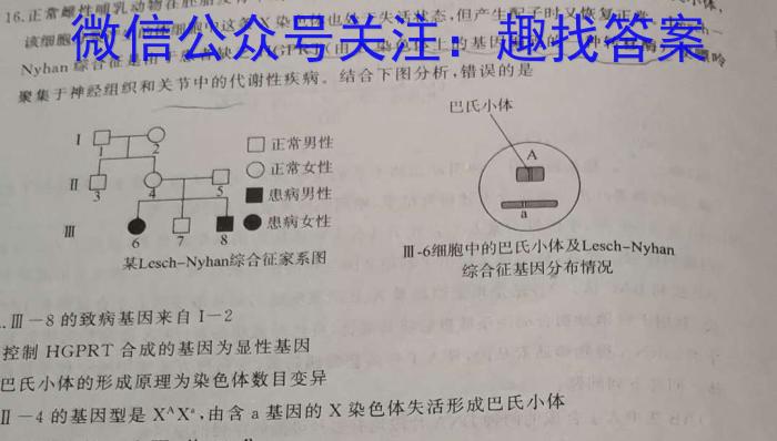 山东省潍坊市2024届高三上学期期末考试生物学试题答案