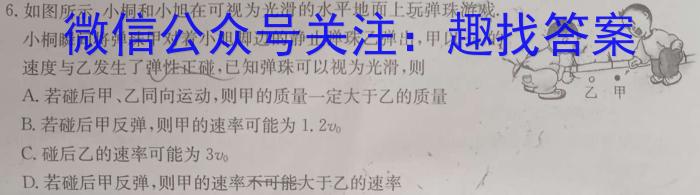 2024年辽宁省教研联盟高三调研测试(4月)q物理