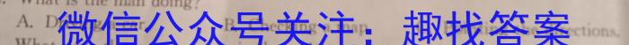 安徽省2024年中考模拟示范卷（一）英语试卷答案