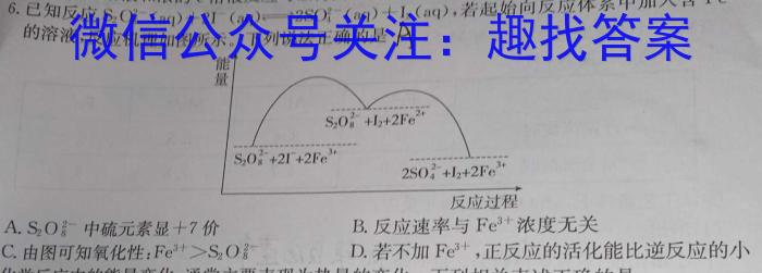 2024年陕西省初中学业水平适应性联考（二）数学